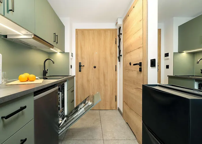 Appartement Pet Friendly Cozy With Balcony In By Renters